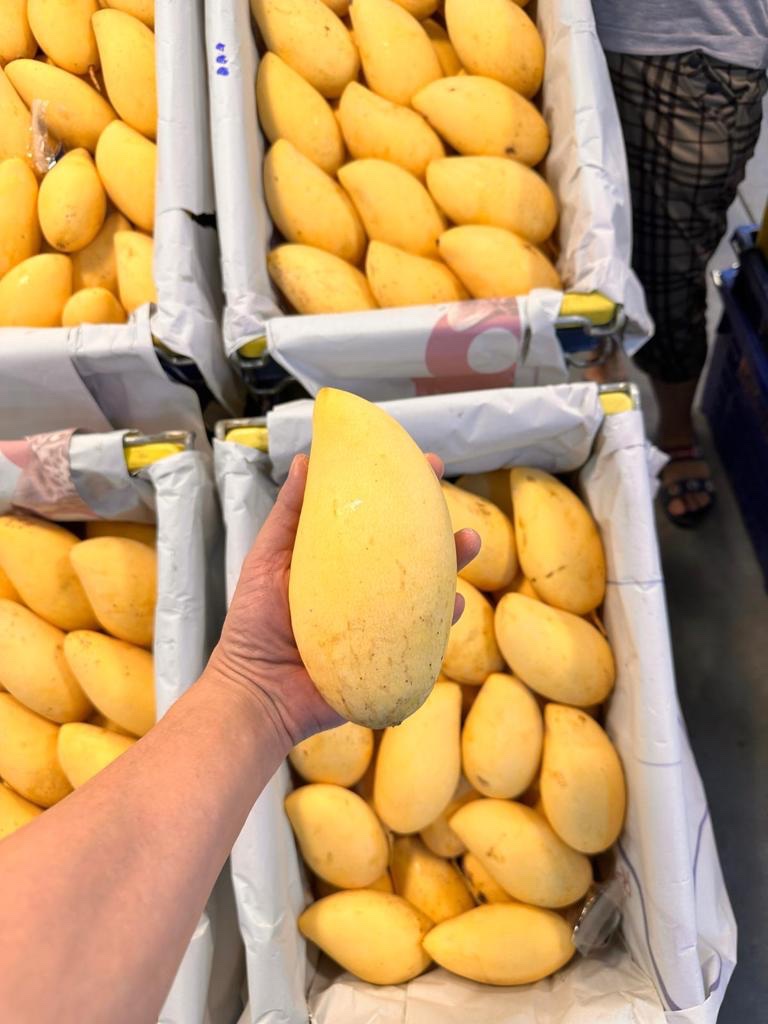 709085b9-4c3c-4851-88dc-9b6a787a28ef