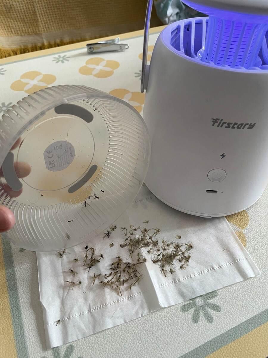 a681facc-469b-460c-986c-e1302b8081a7